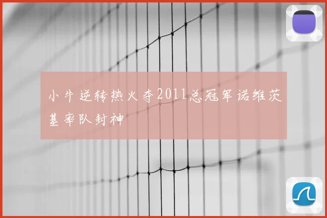 小牛逆转热火夺2011总冠军诺维茨基率队封神