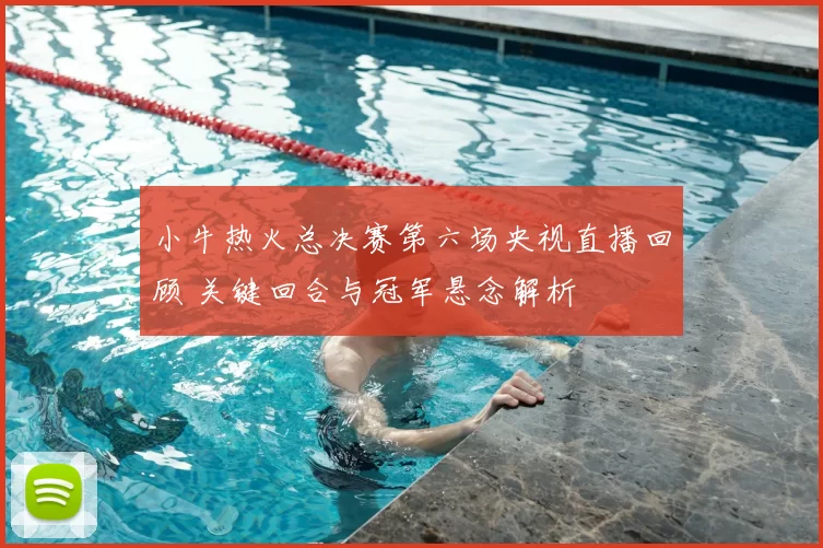 小牛热火总决赛第六场央视直播回顾 关键回合与冠军悬念解析